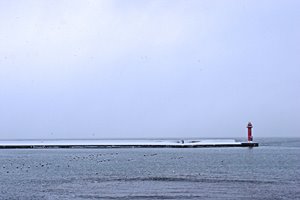 厳冬の灯台