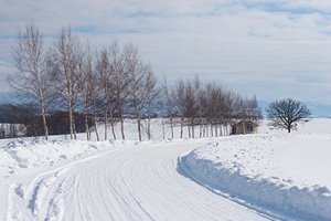丘の雪道