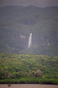 ジャングルの中の神秘の滝