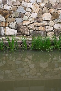 石垣のある水路