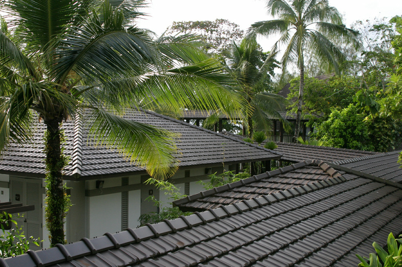椰子の葉が揺れるパラオのホテル