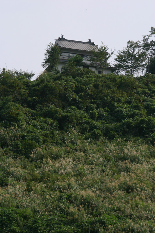 山の上に建っている松代城